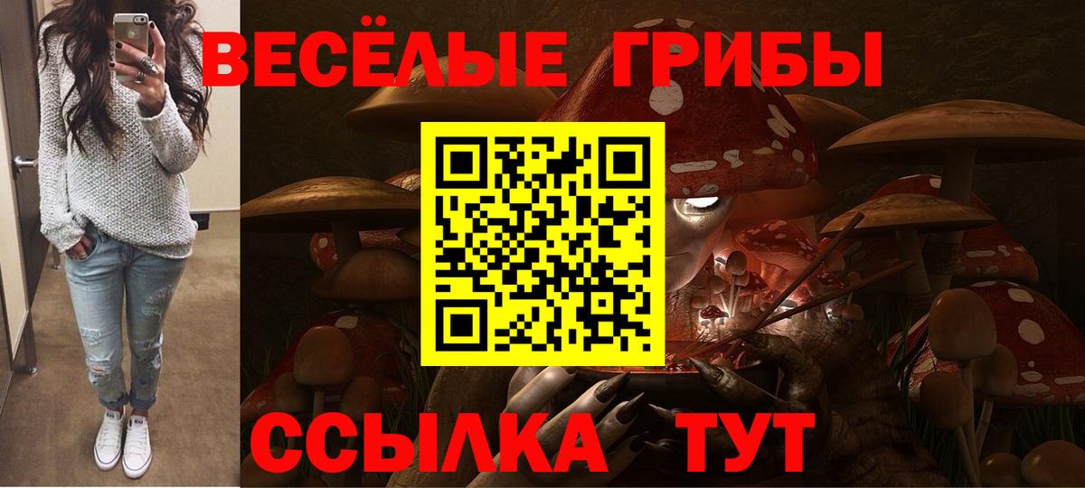 Арсеньев  Псилоцибиновые грибы GOLDEN TEACHER  наркотики  Псилоцибиновые грибы мицелий  Вход с VPN 